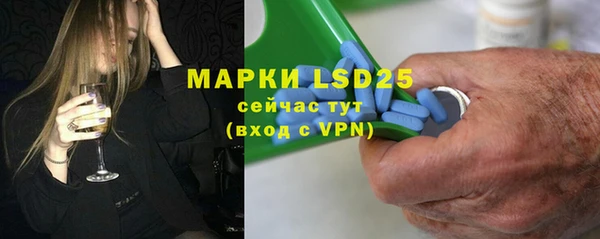 PSILOCYBIN Алзамай