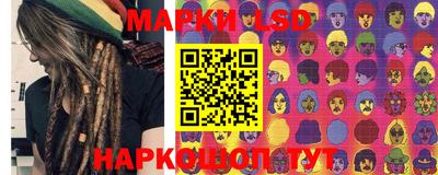 стаф Владимир