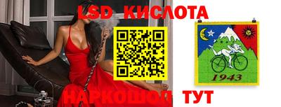 стаф Владимир