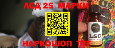 стаф Владимир