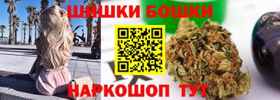 стаф Владимир