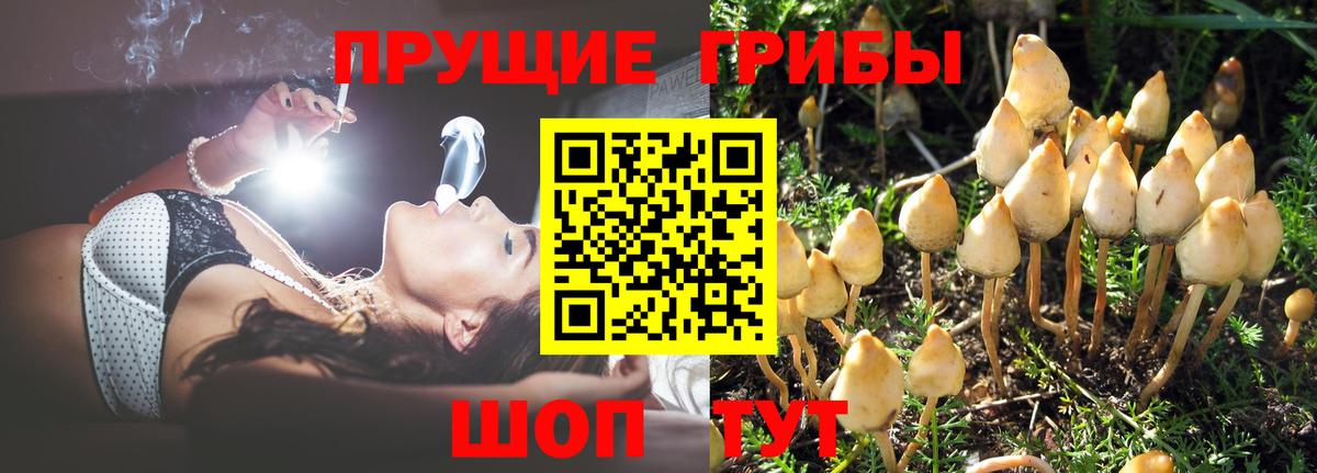 Краснотурьинск  Псилоцибиновые грибы мухоморы  Галлюциногенные грибы Cubensis  Вход с VPN 
