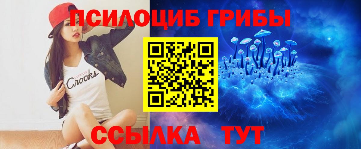 Псилоцибиновые грибы мицелий Краснотурьинск